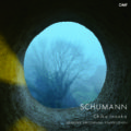 Schumann: Arabeske / Kreisleriana / Kinderszenen ジャケット